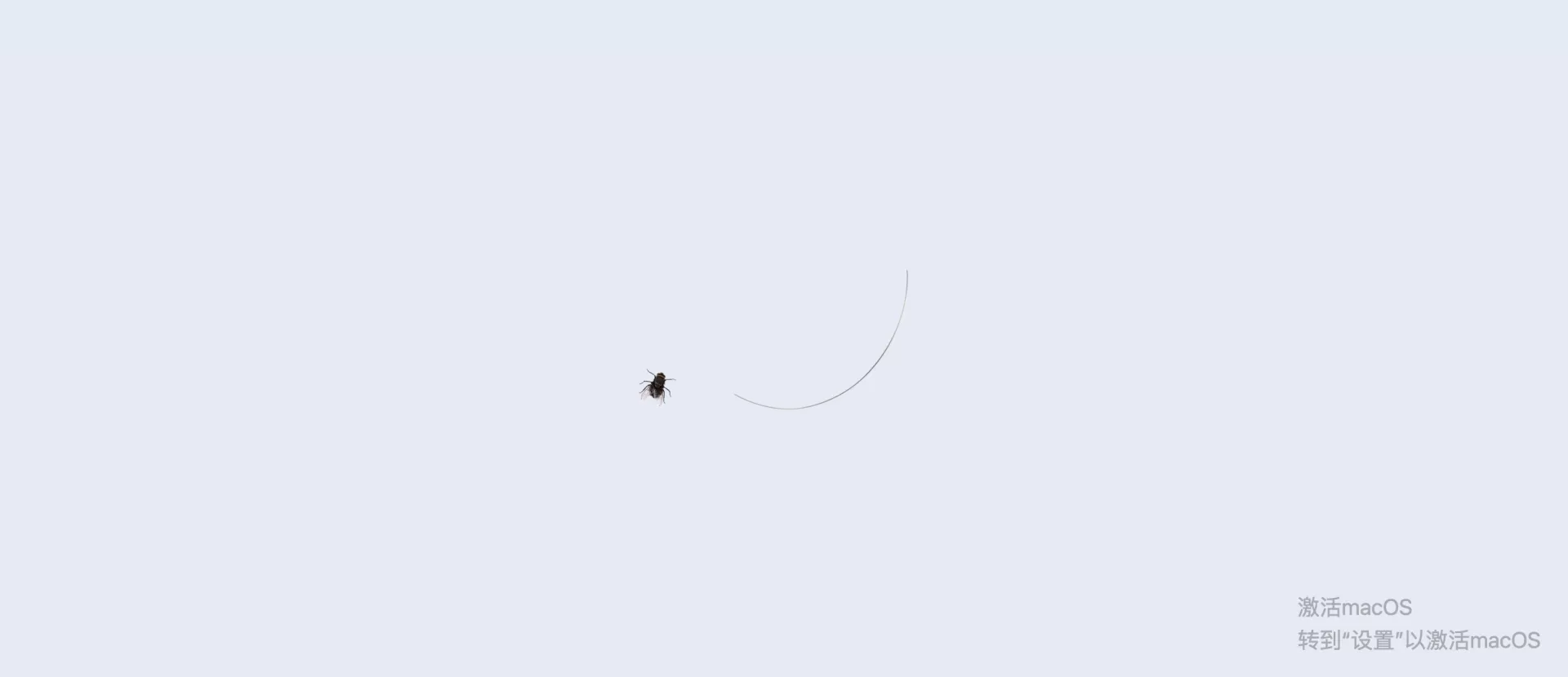 Prank愚人节整蛊插件